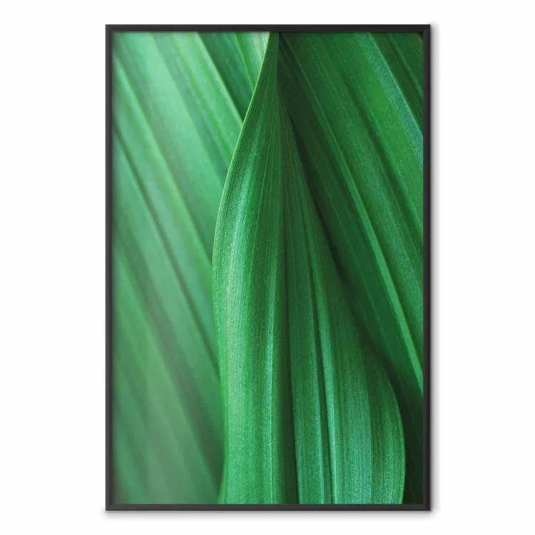 Leaf Texture - composition with a green plant motif