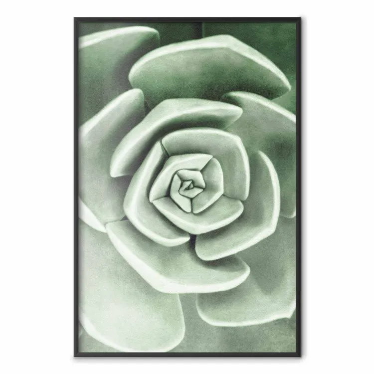 Beautiful Succulent - Scandinavian plant composition with green leaves