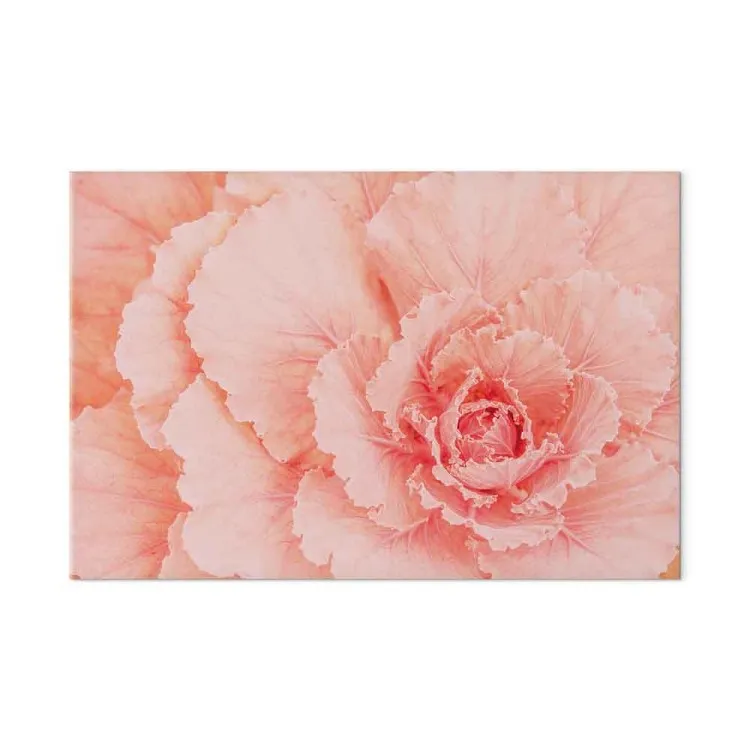 Delicate flower - a subtle plant in the color of natural pink