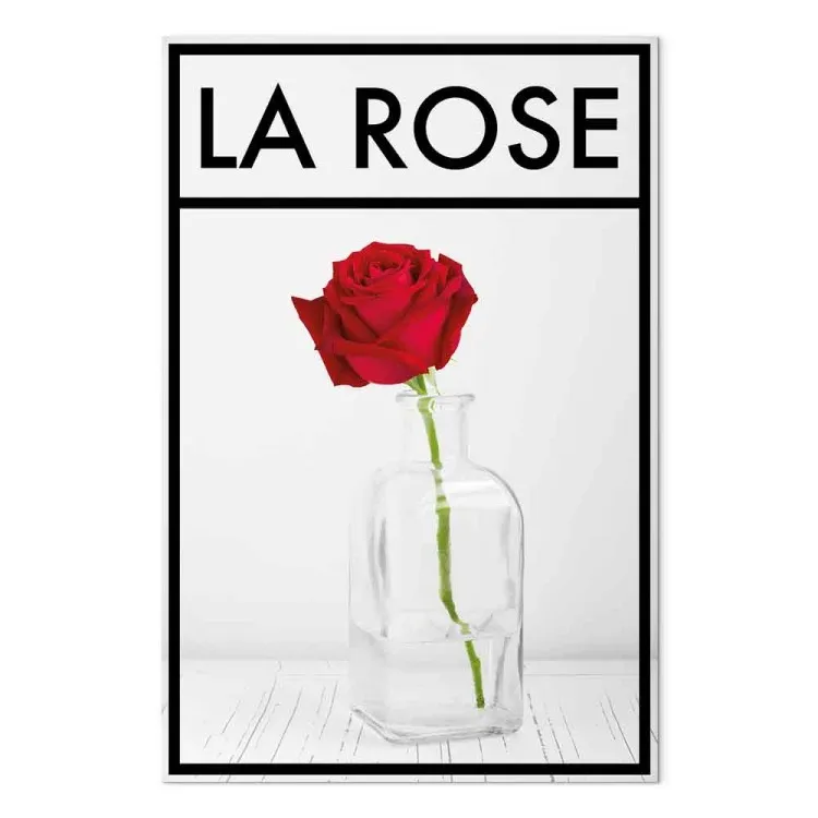 Rose - intense red rose flower in a vase on a pale gray background with a black frame and an inscription in French perfect for a room or dining room