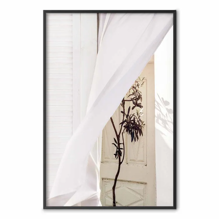Mystery of the Wind - composition with plant against white architecture