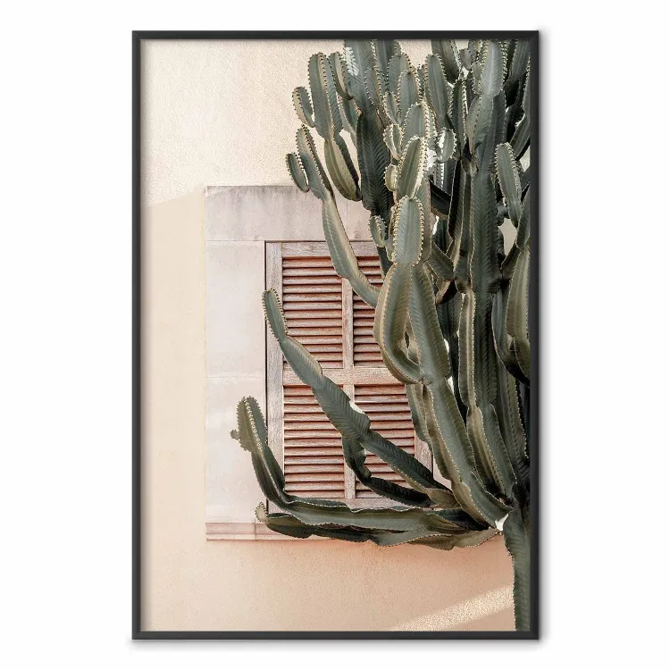 Green Thorns - composition with tropical plant against architecture
