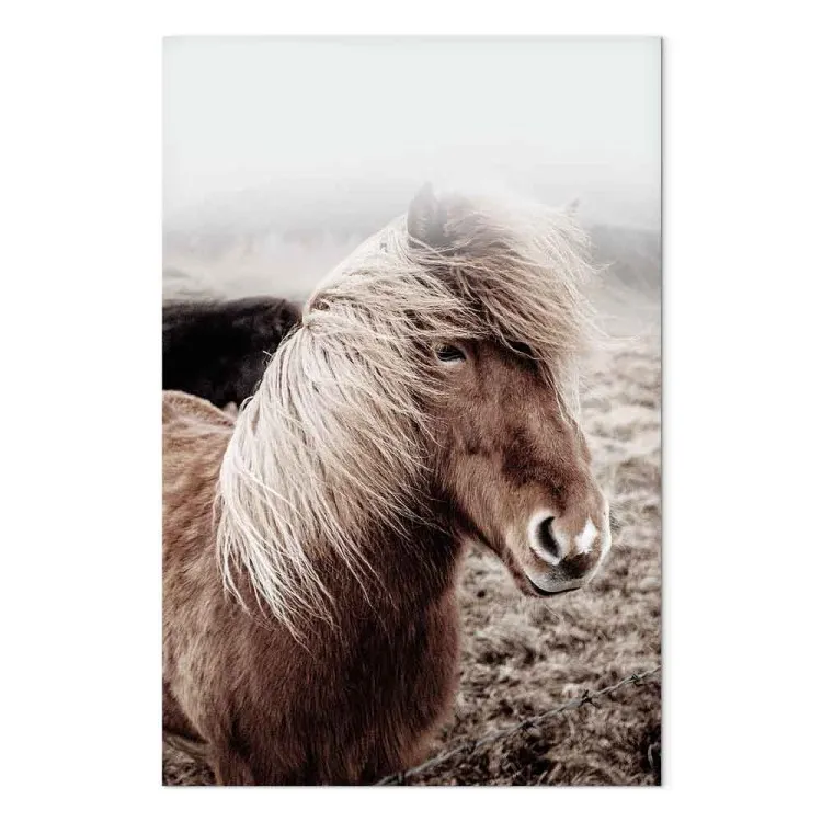Against the Wind (1-piece) Vertical - horse in a portrait photograph