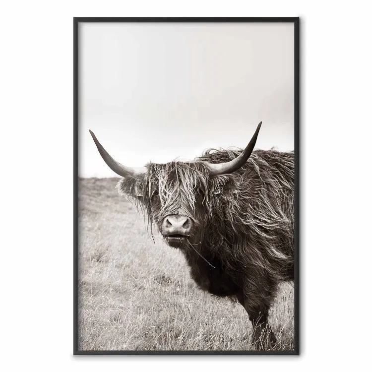 Ancient - animal with long hair against a field and clear sky