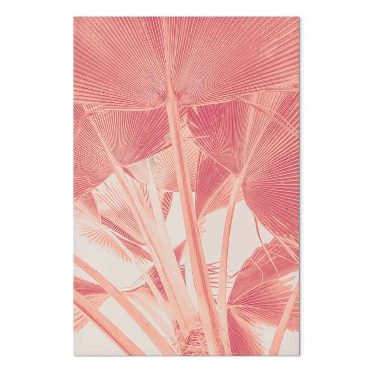 Pink palm - overexposed image of palm leaves in pink