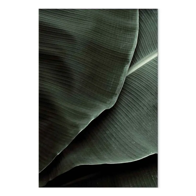 Intensive green - two thick cold-green leaves with a visible pattern