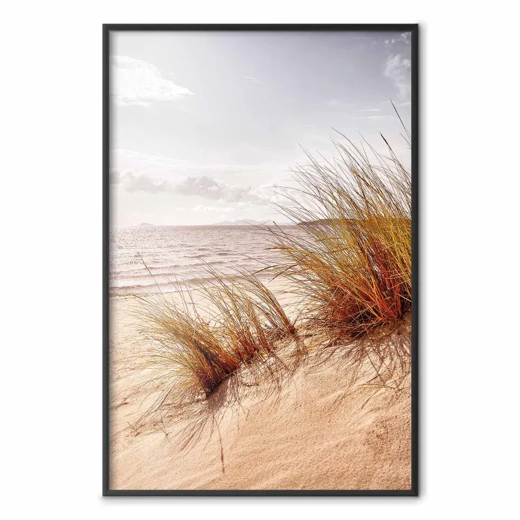 Afternoon Wind - seascape and sandy beach in summer