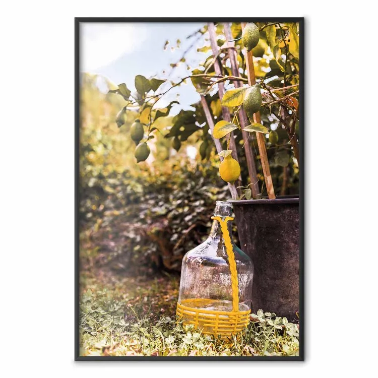 Lemon Harvest - warm nature shot overlooking blooming plants