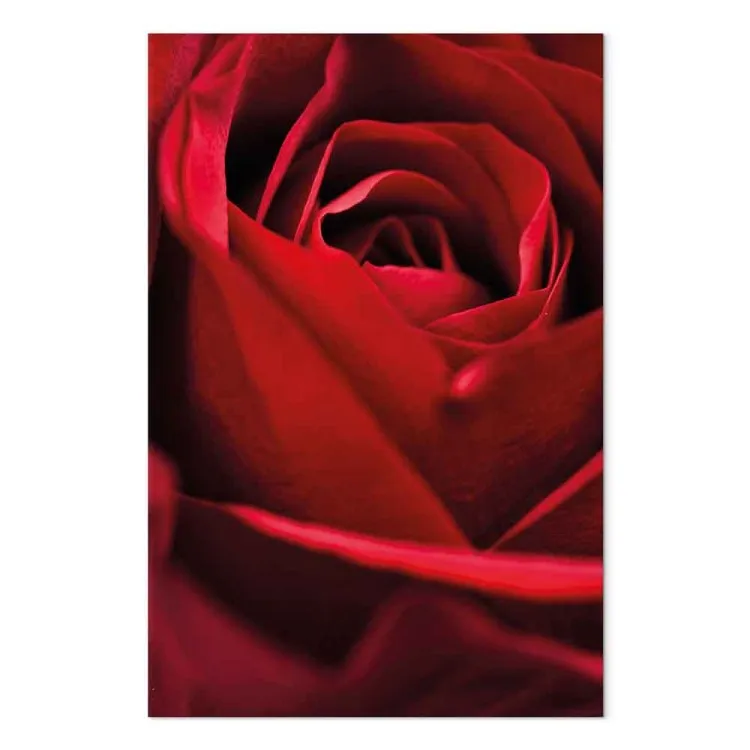 Red Flower (1-piece) - close-up of delicate rose petals
