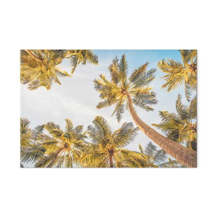 Palm Tops - Tropical Trees Against Bright Sky
