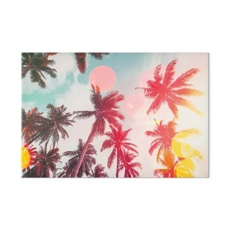 Palms in Light - Tropical Trees in Sunlight
