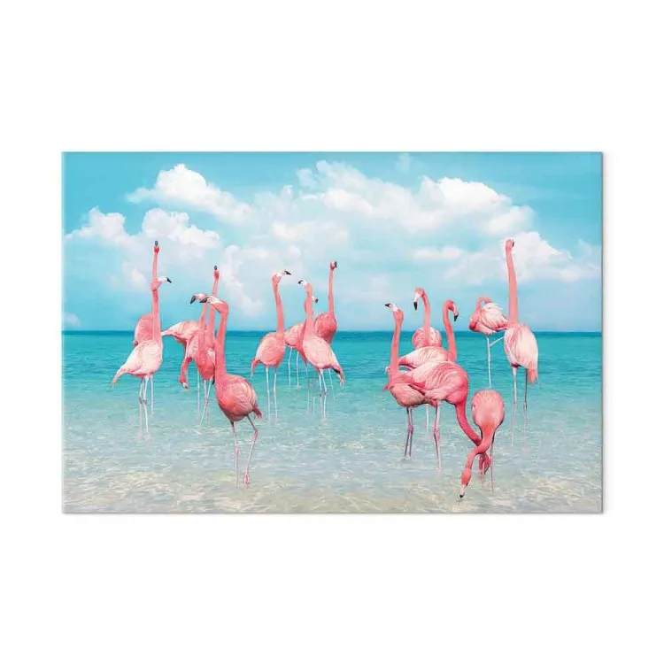 Tropical Flamingos - Birds in Clear Water Under Blue Sky